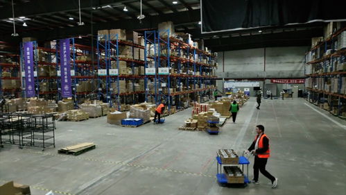 強信心 開新局 跨境電商加速跑，直擊上海港進出口商品中轉倉的技術進出口新篇